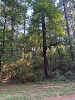 0.24 acres in Texas County featured view
