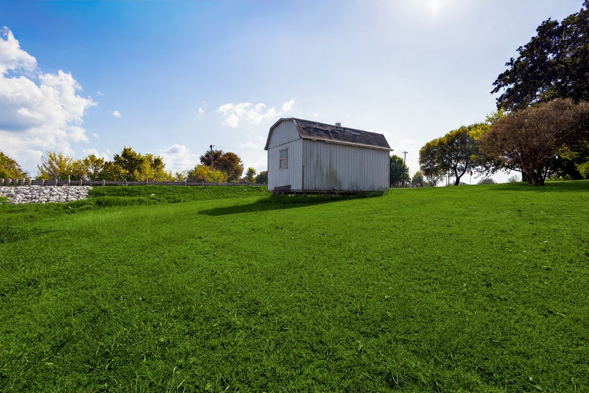 0.25 acres in Henderson County - photo 4