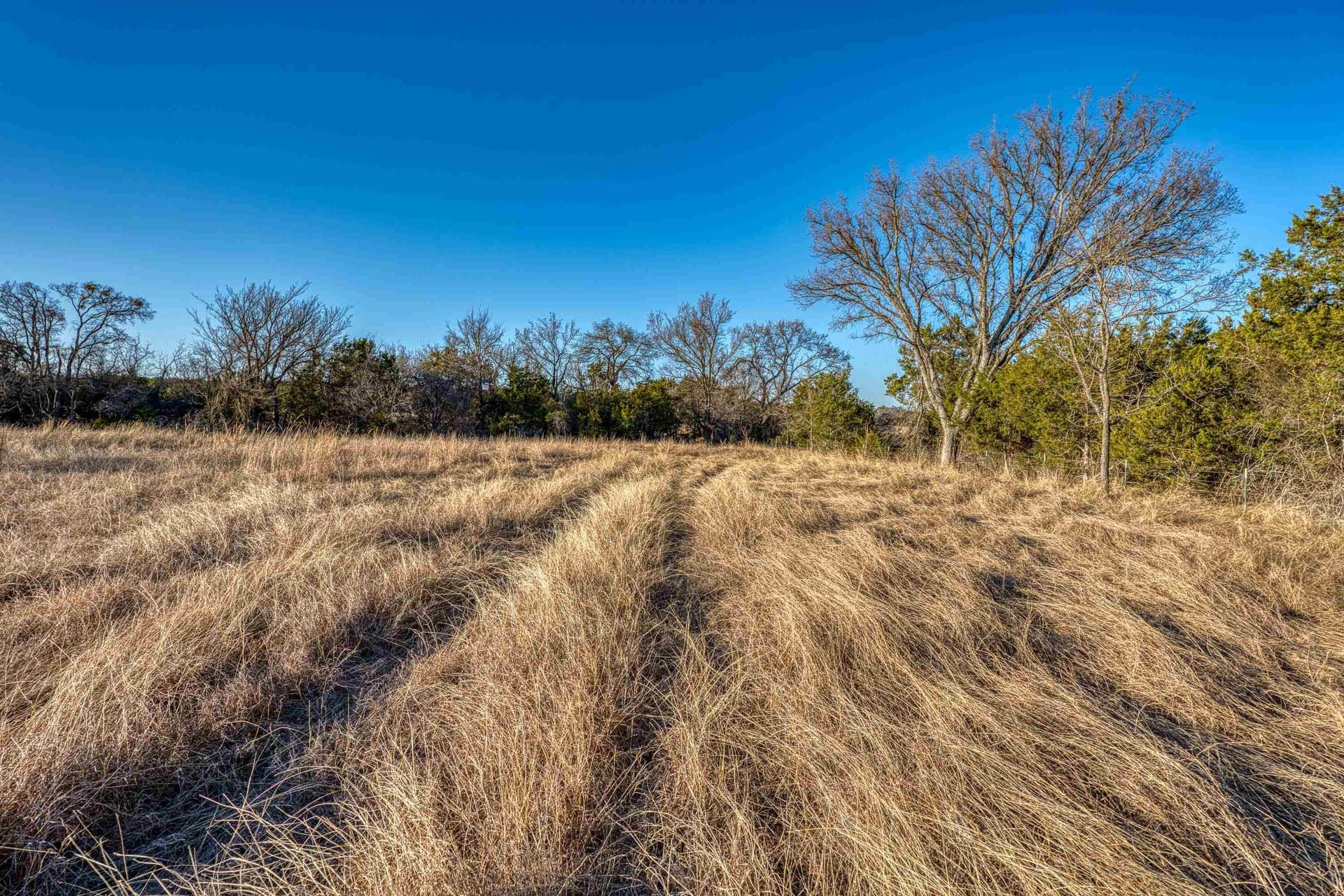 25.03 acres in Burnet County - photo 25
