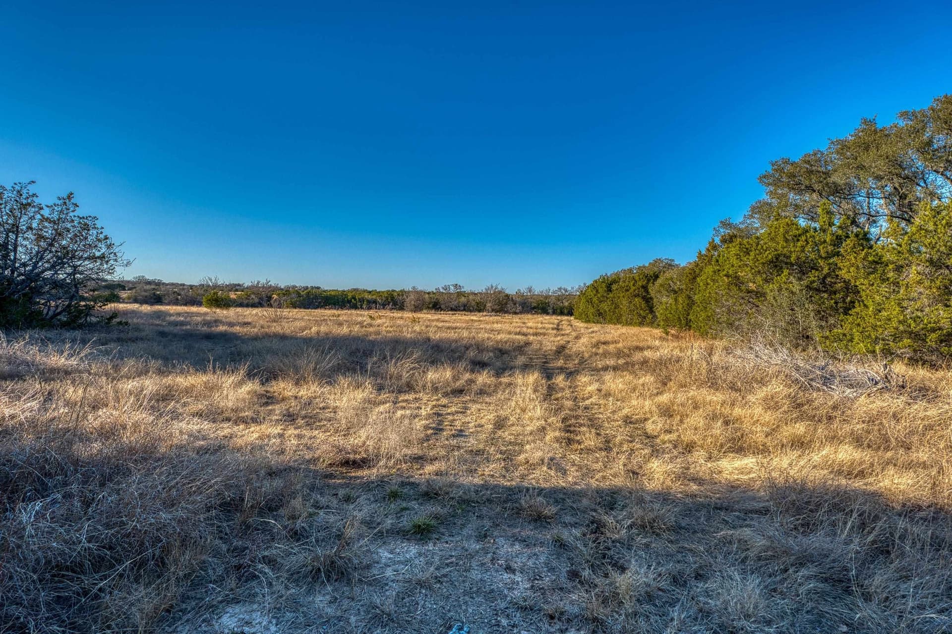 25.03 acres in Burnet County - photo 23