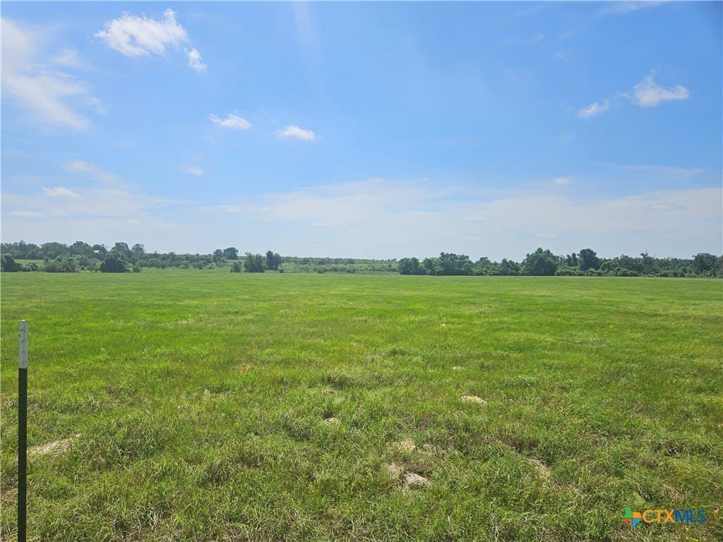 43 acres in Milam County gallery image 2