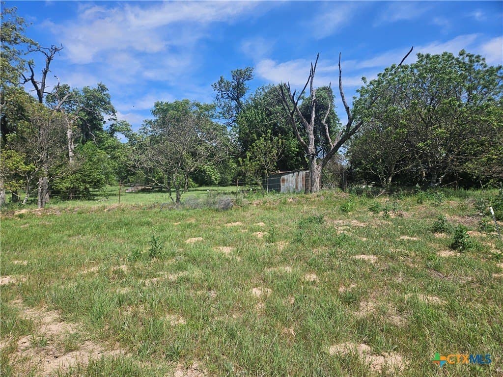 43 acres in Milam County gallery image 3