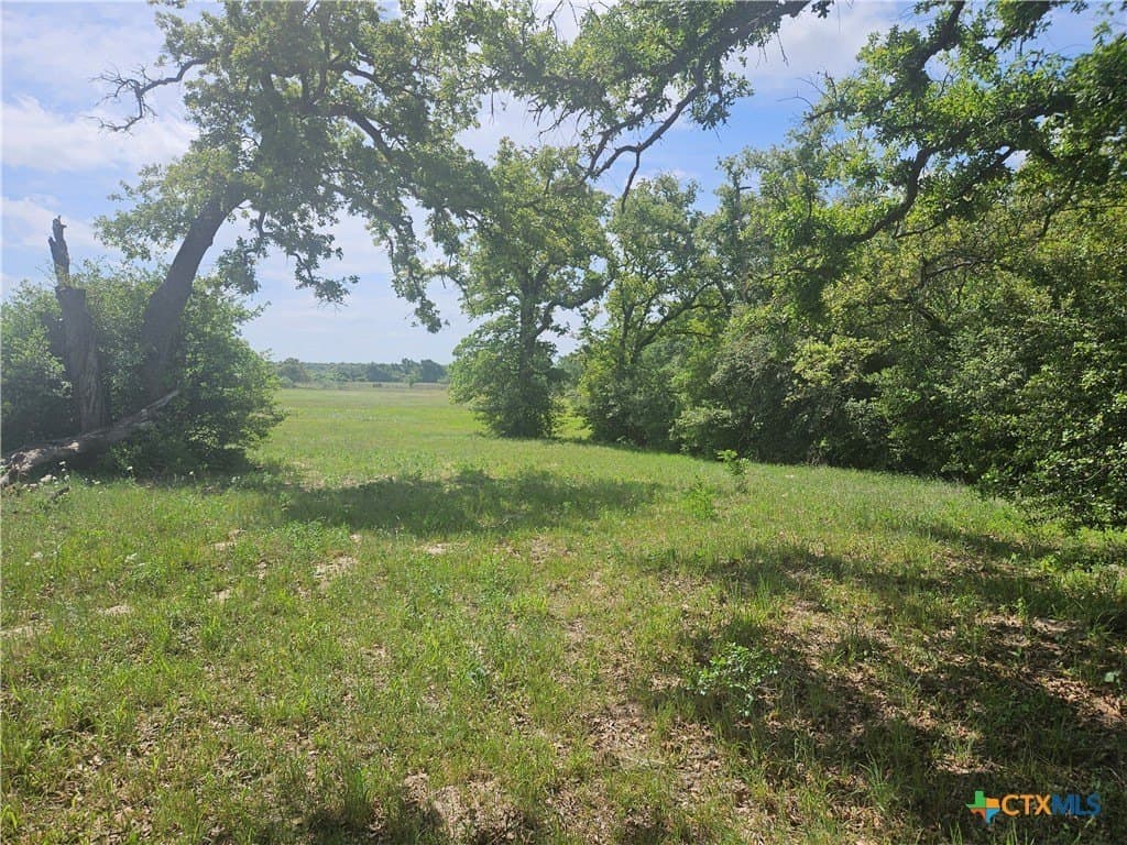 43 acres in Milam County