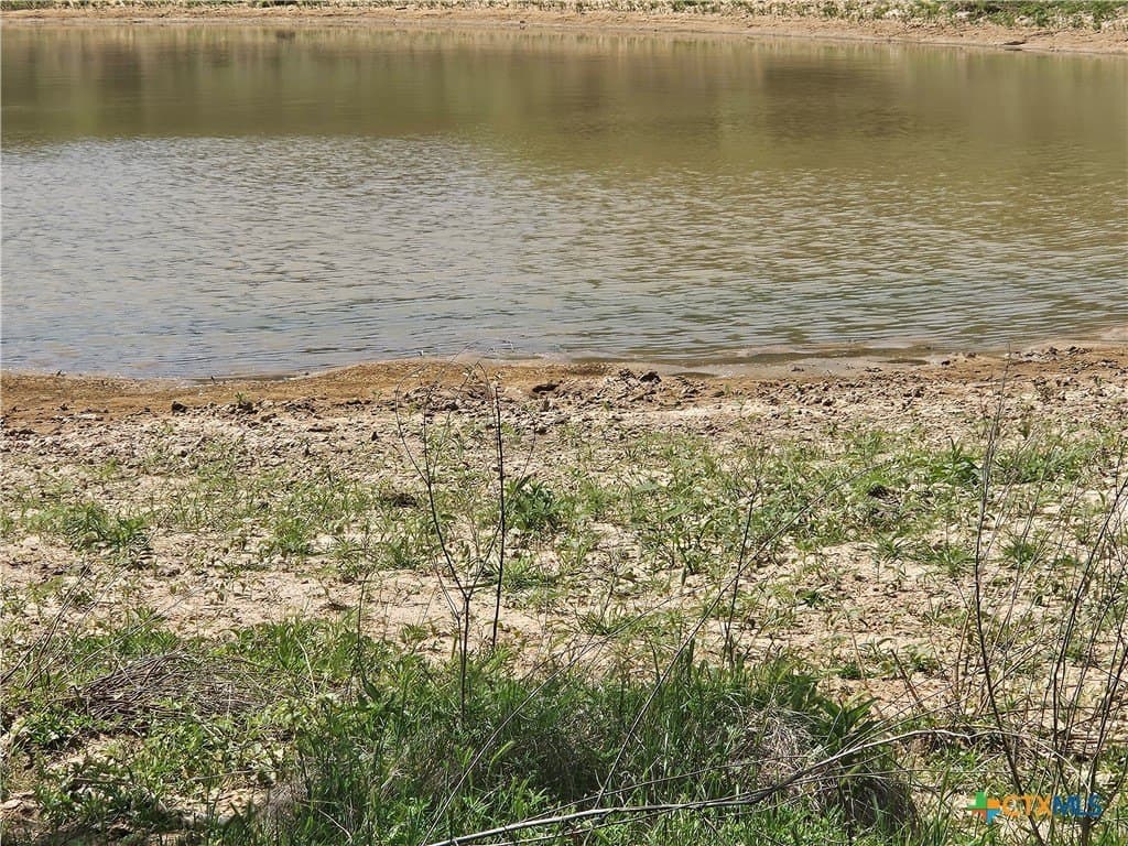43 acres in Milam County gallery image 4
