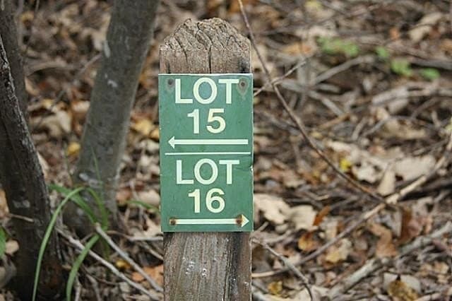 0.42 acres in Dallas County gallery image 3