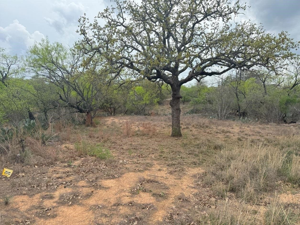 0.11 acres in Burnet County - photo 8