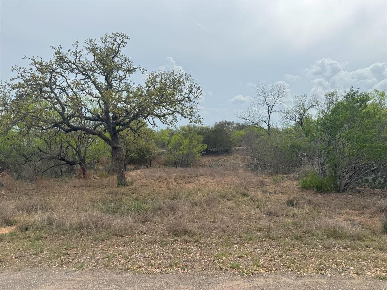 0.11 acres in Burnet County gallery image 2