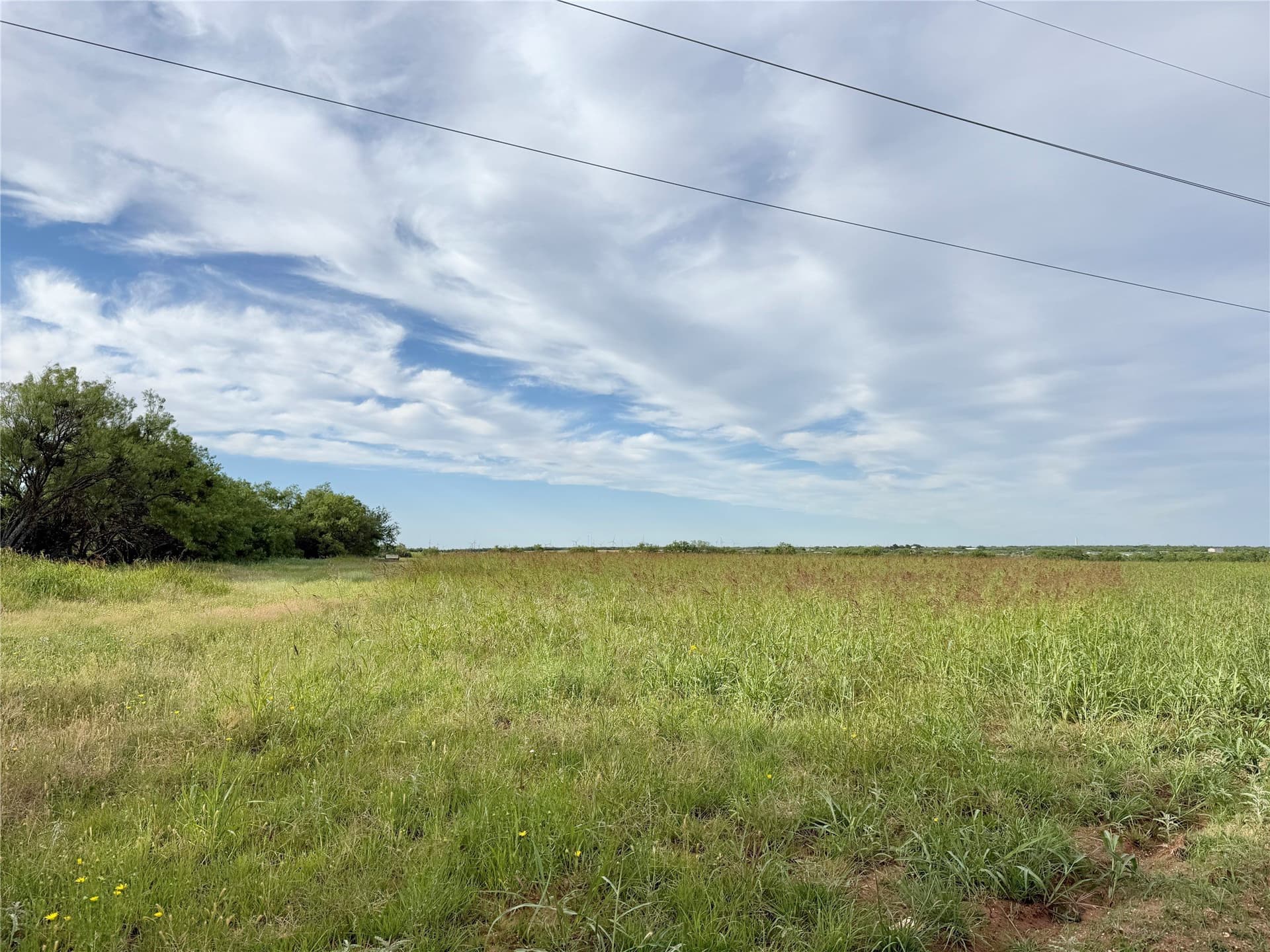 21.36 acres in Callahan County