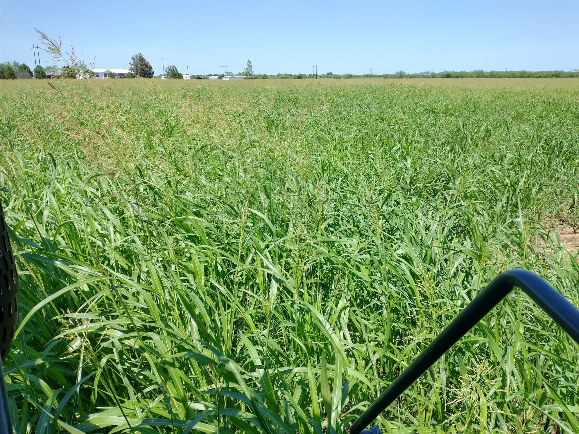 21.36 acres in Callahan County featured view