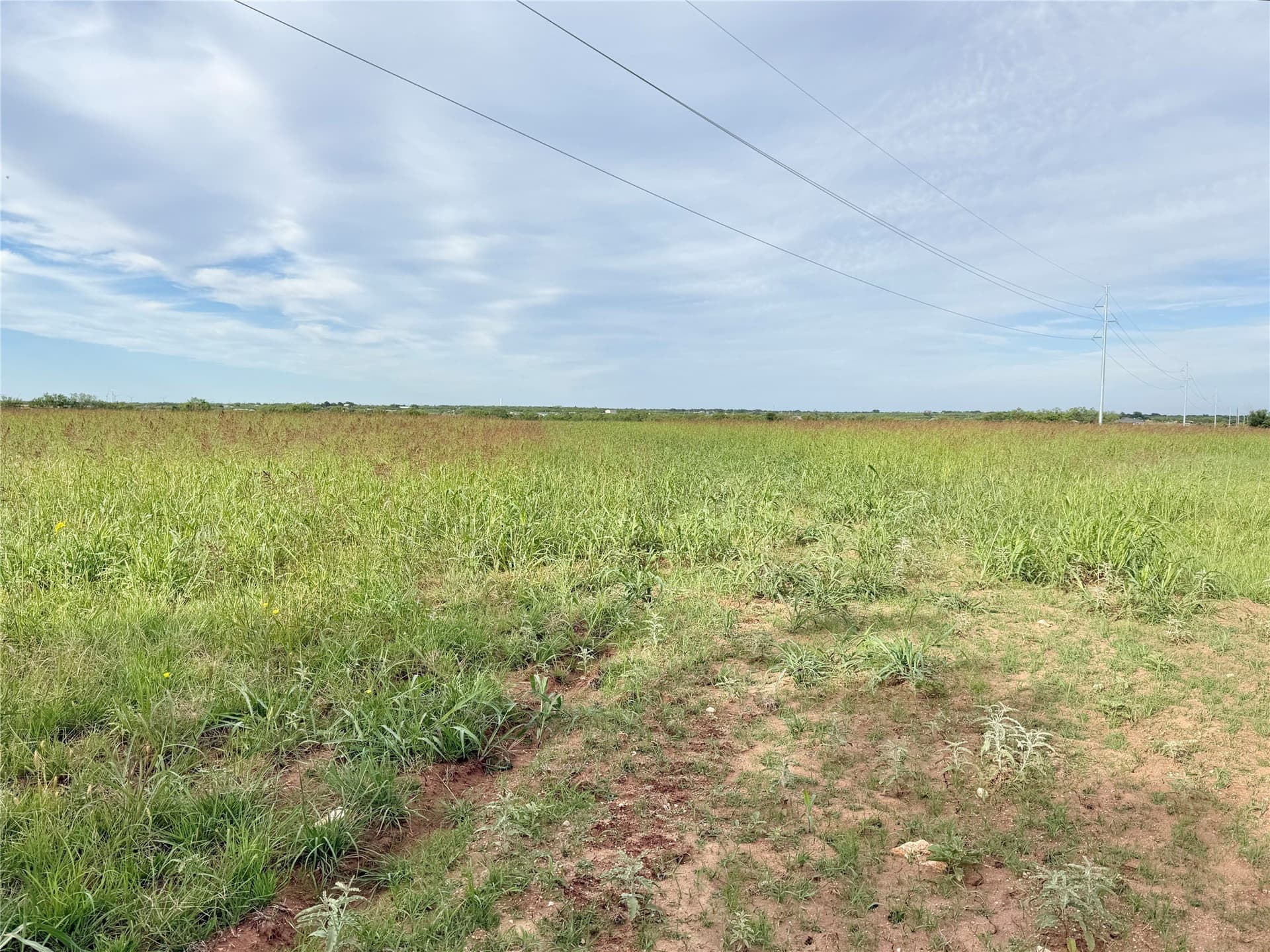 21.36 acres in Callahan County gallery image 3