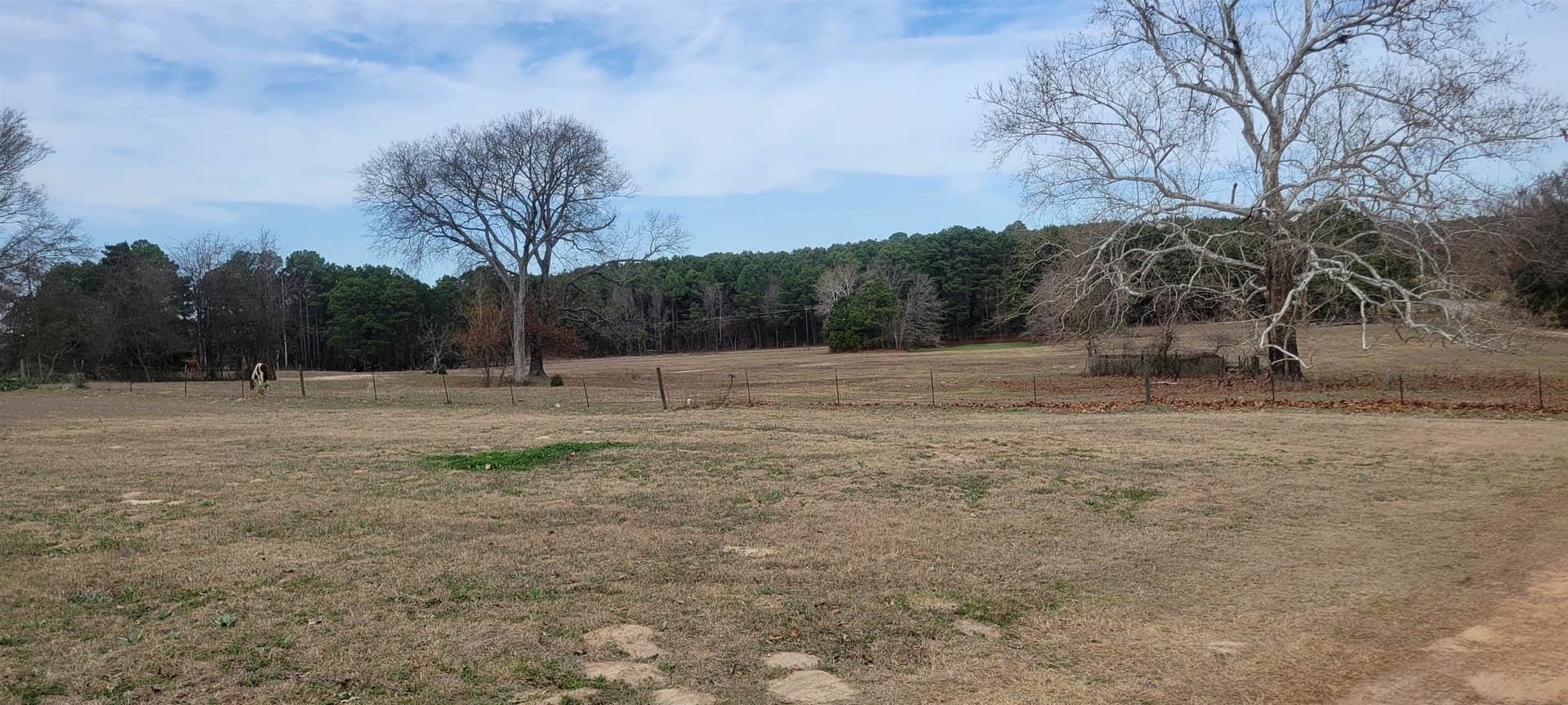 29.94 acres in Wood County - photo 14