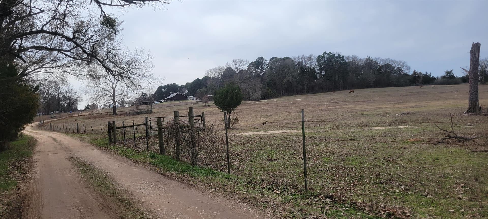 29.94 acres in Wood County - photo 13