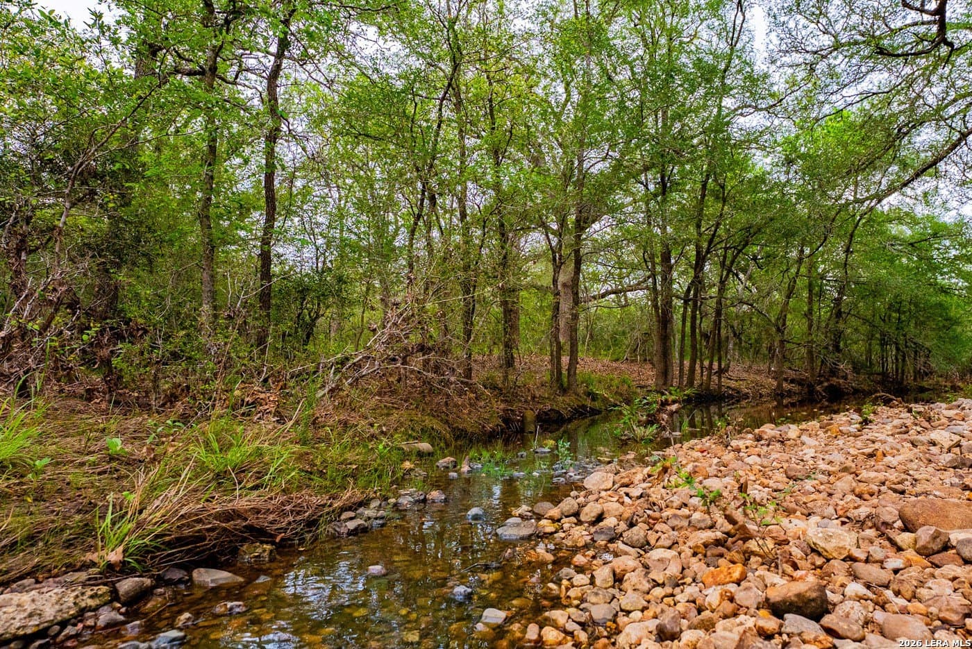 30 acres in Guadalupe County - photo 41
