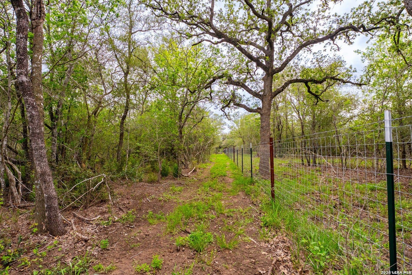 30 acres in Guadalupe County - photo 42