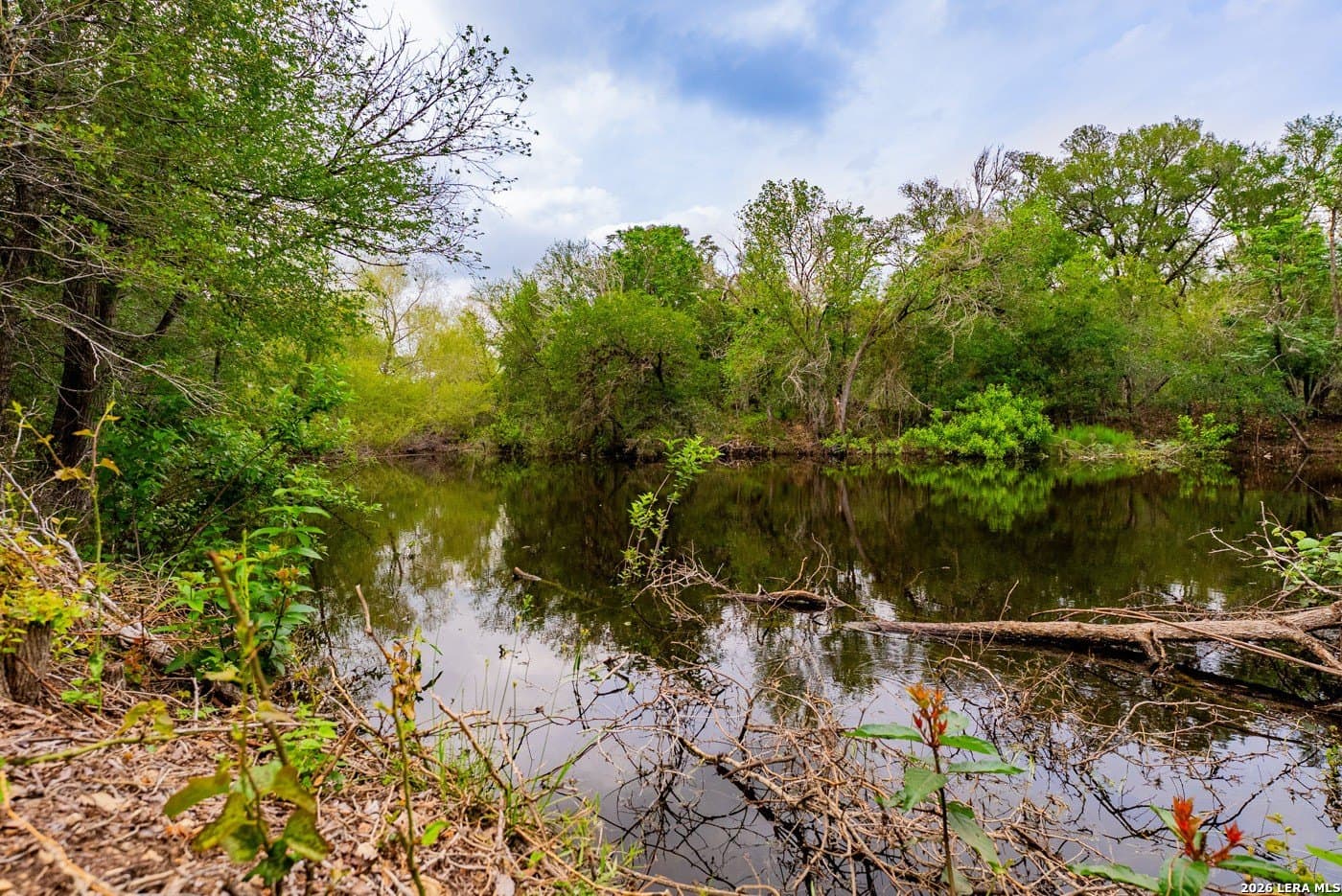 30 acres in Guadalupe County - photo 38