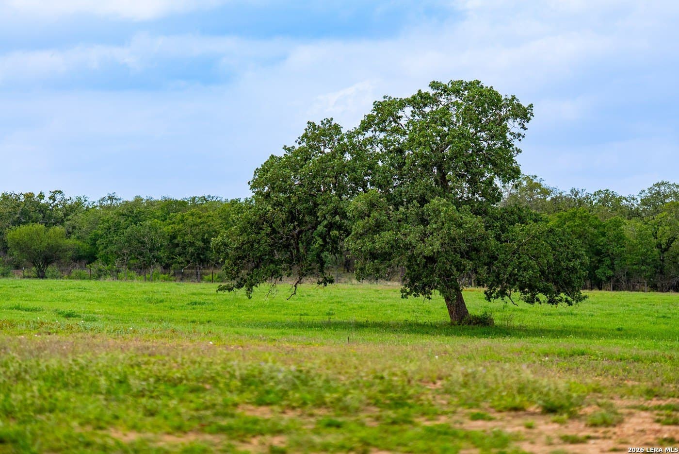 30 acres in Guadalupe County - photo 50
