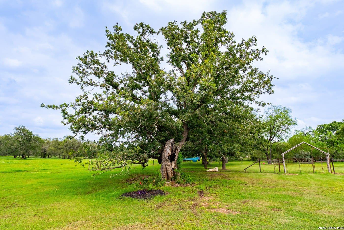 30 acres in Guadalupe County - photo 47