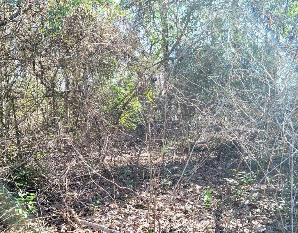 0.21 acres in Van Zandt County - photo 9