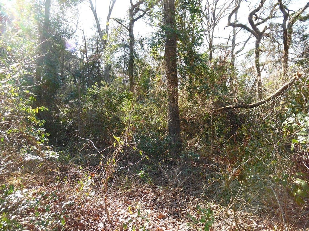 0.21 acres in Van Zandt County - photo 3