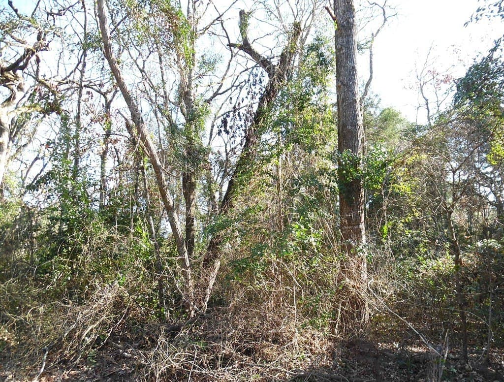 0.21 acres in Van Zandt County - photo 8