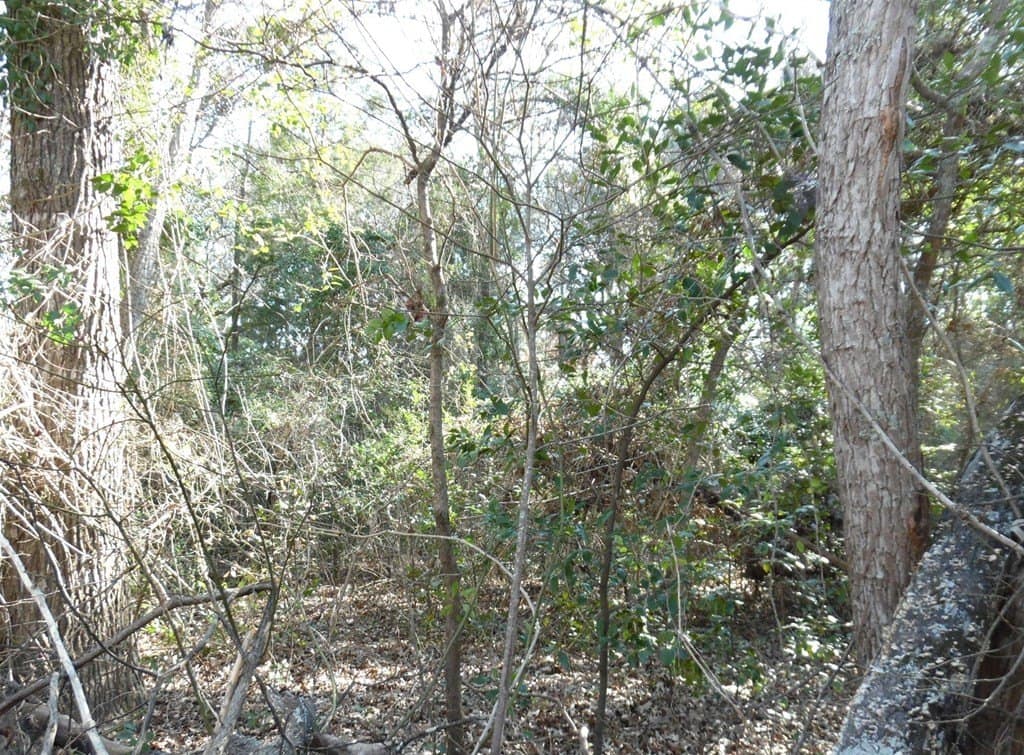 0.21 acres in Van Zandt County - photo 7
