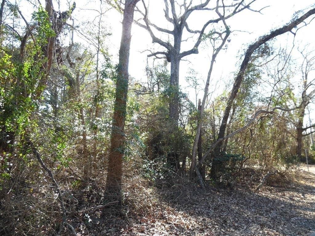 0.21 acres in Van Zandt County - photo 2