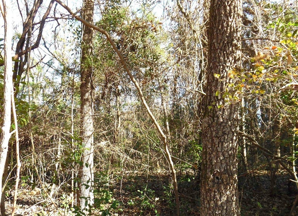 0.21 acres in Van Zandt County - photo 5