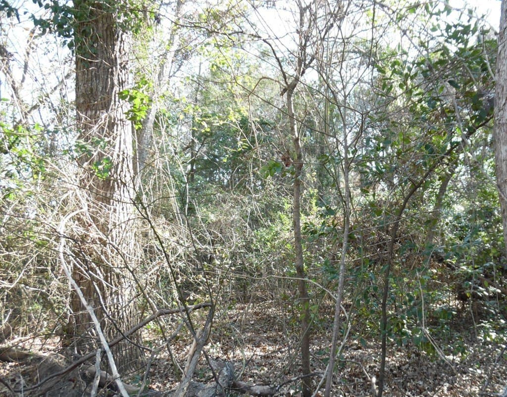 0.21 acres in Van Zandt County - photo 6