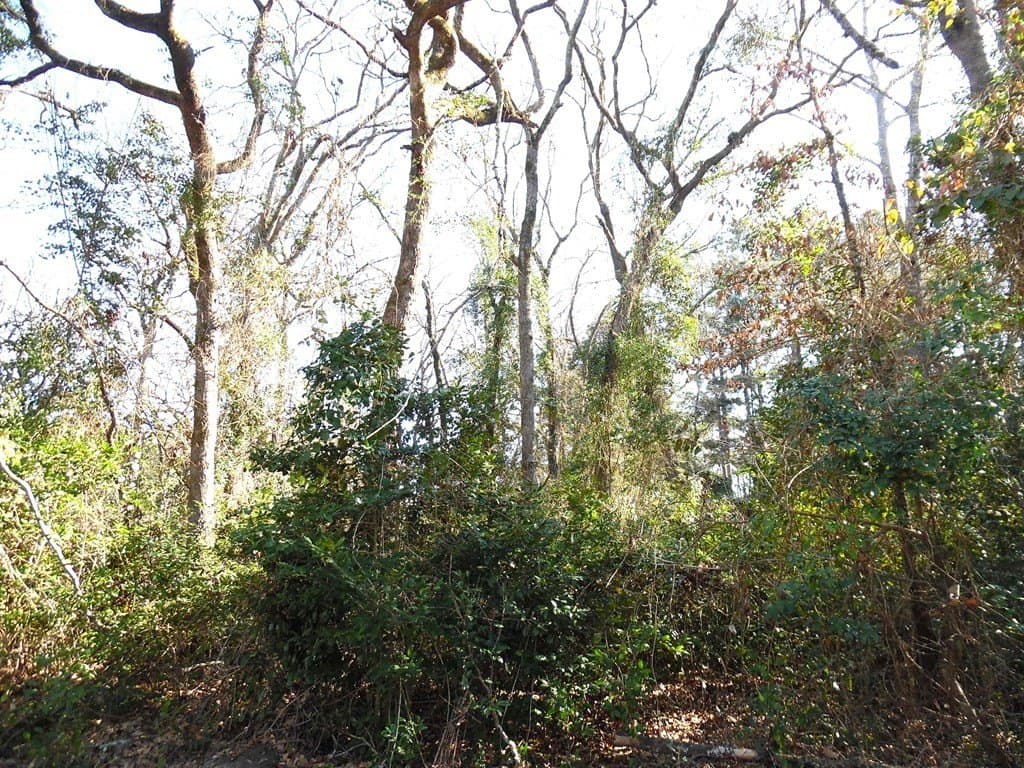 0.21 acres in Van Zandt County - photo 10