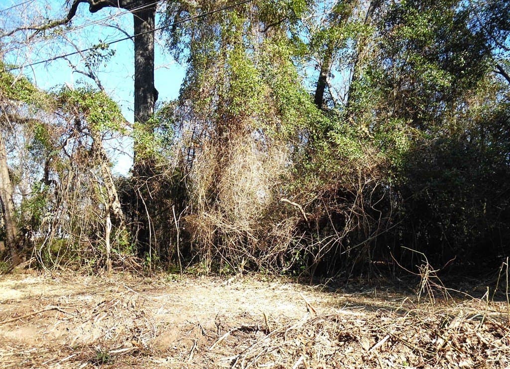 0.21 acres in Van Zandt County - photo 4