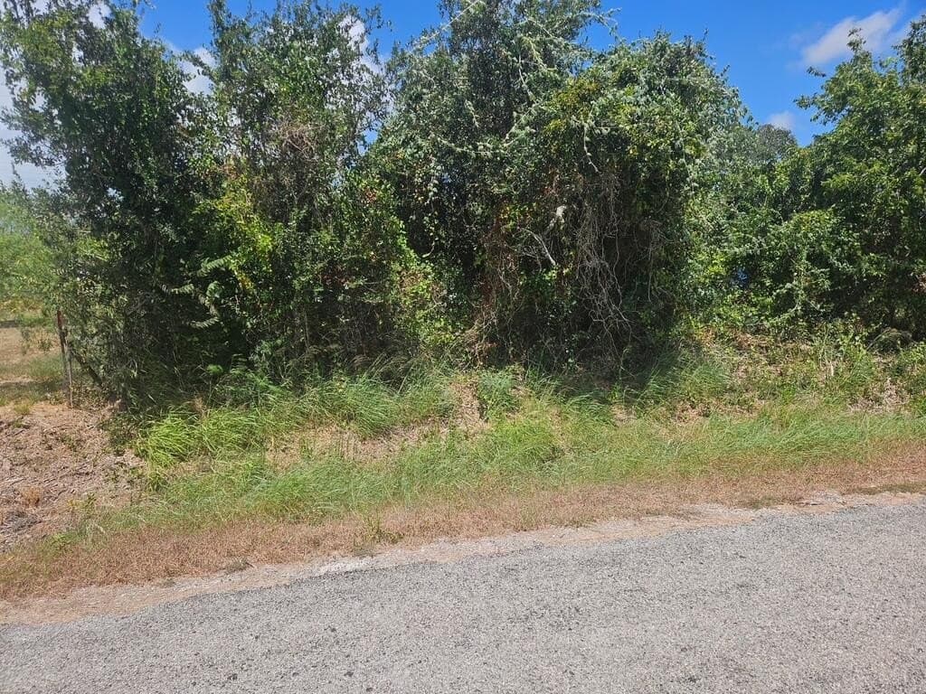 0.11 acres in Texas County - photo 2
