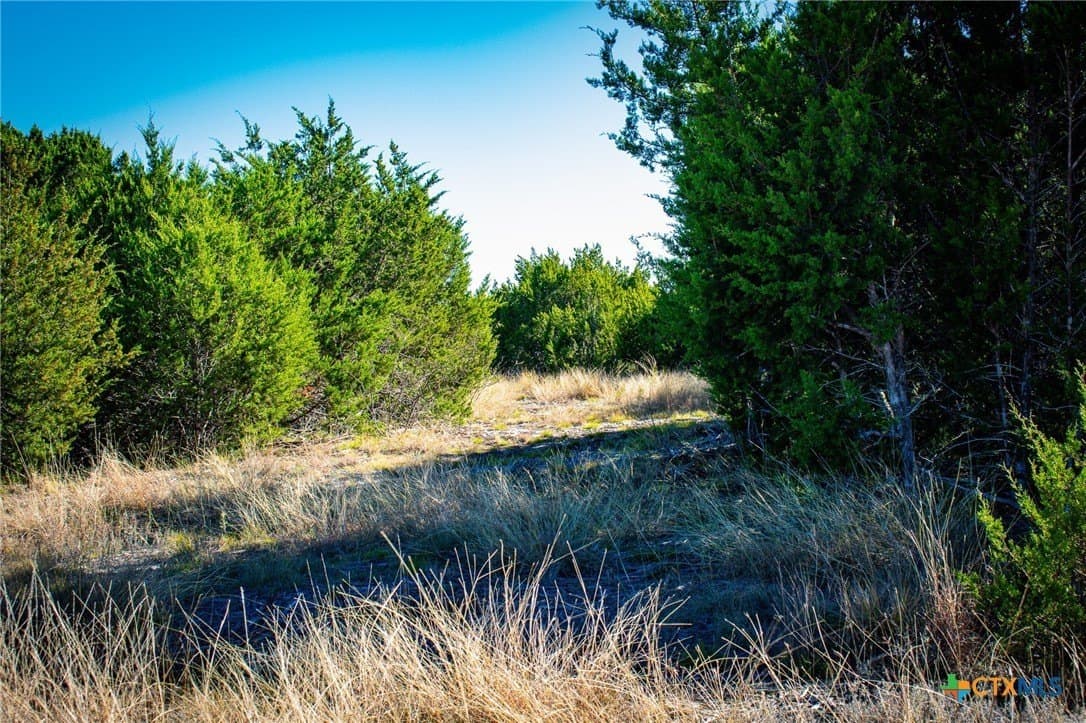 8.09 acres in Burnet County - photo 11