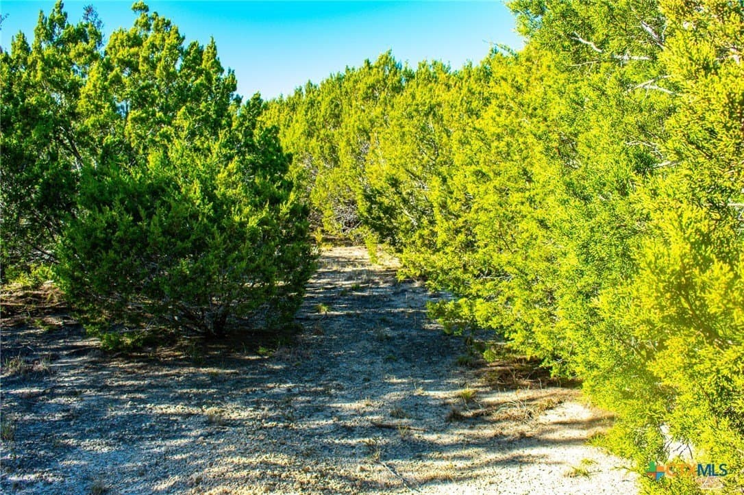 8.09 acres in Burnet County - photo 19