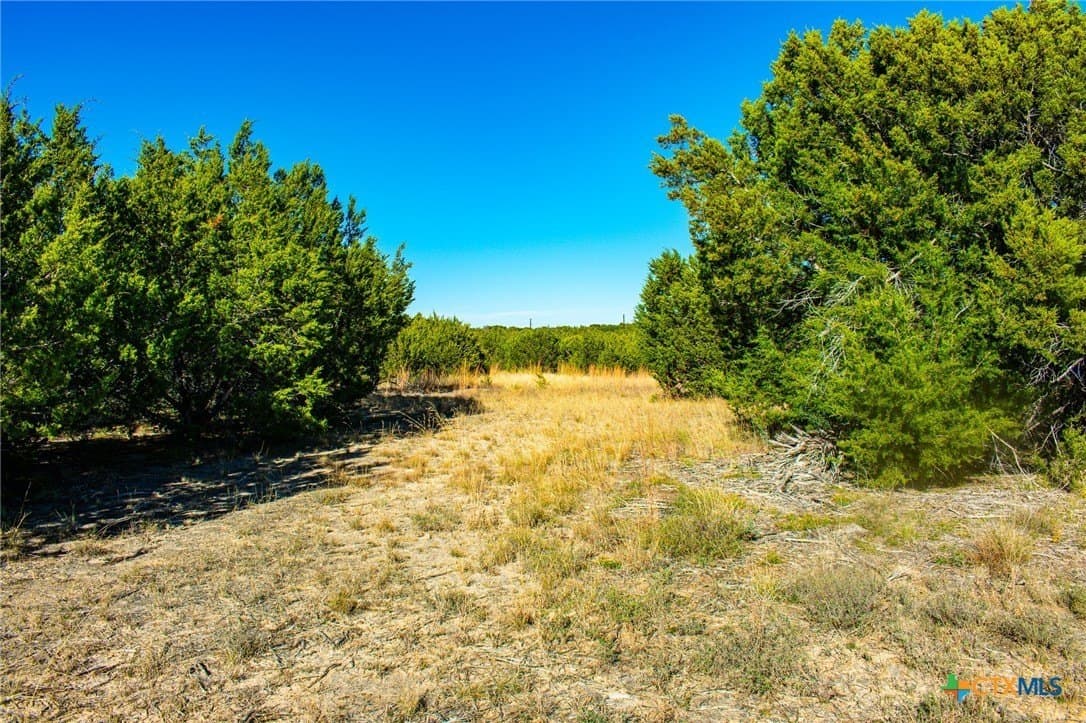 8.09 acres in Burnet County - photo 16
