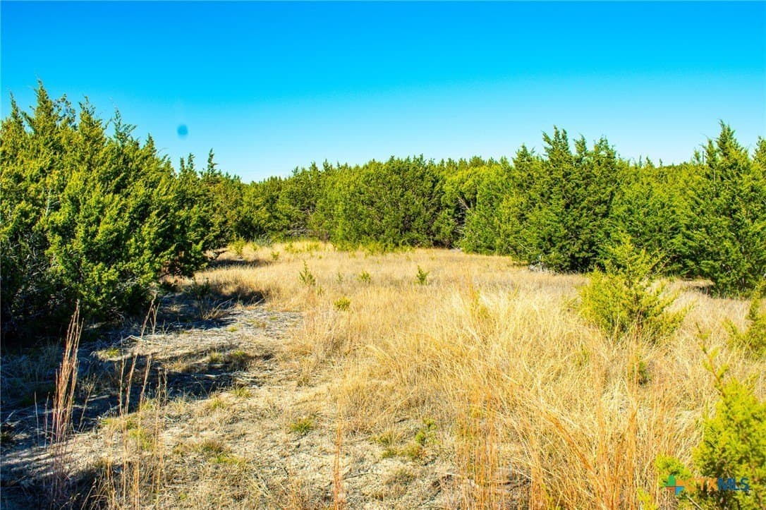 8.09 acres in Burnet County - photo 17
