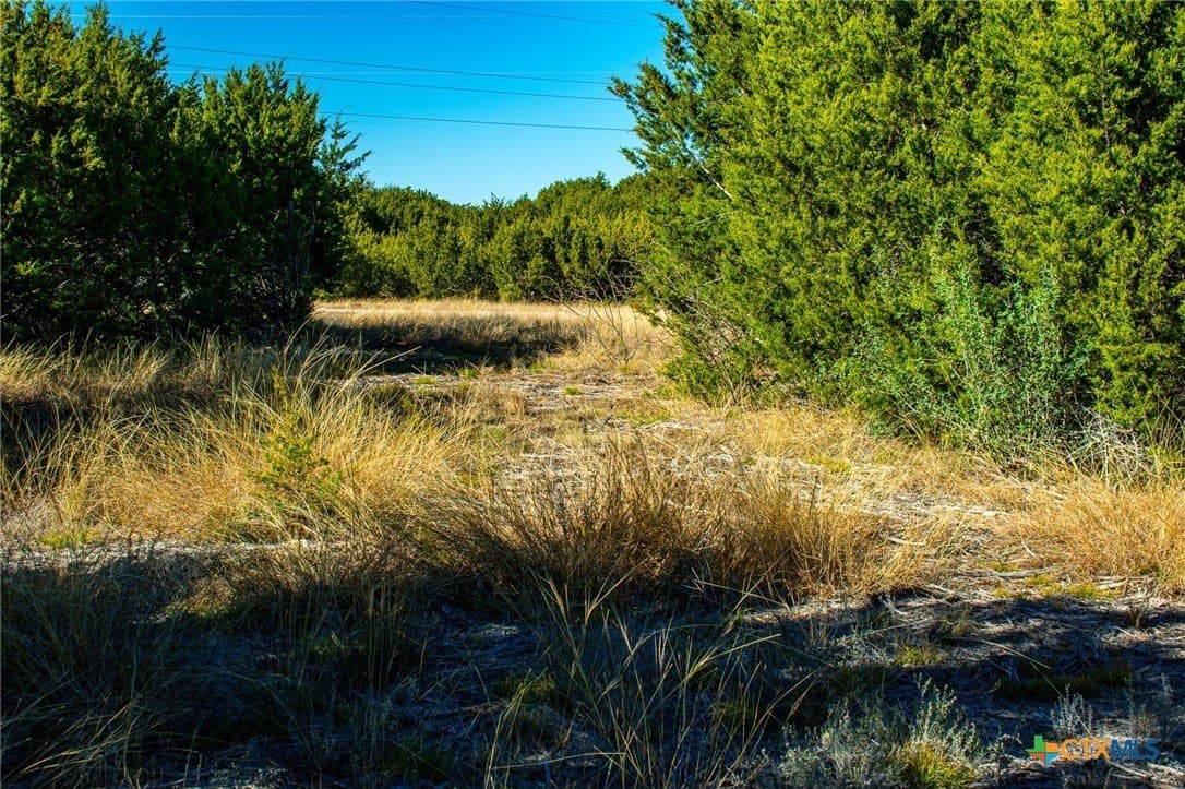 8.09 acres in Burnet County - photo 21