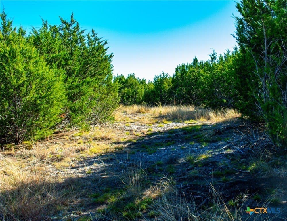 8.09 acres in Burnet County - photo 12