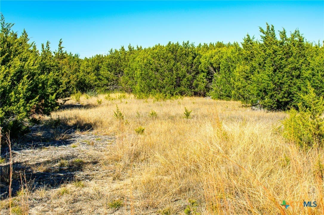8.09 acres in Burnet County - photo 18