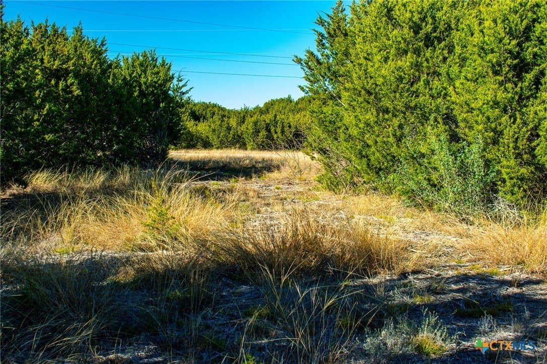 8.09 acres in Burnet County - photo 20