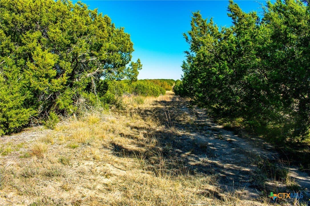 8.09 acres in Burnet County - photo 15