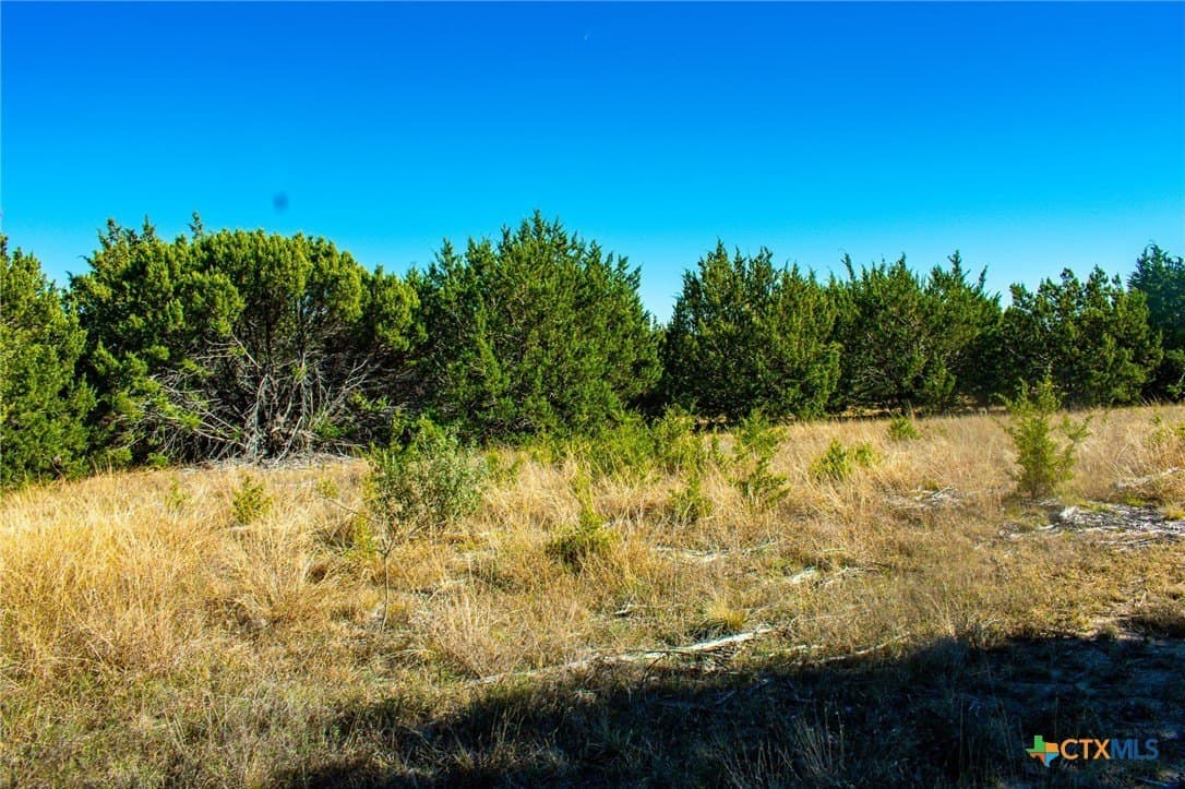 8.09 acres in Burnet County - photo 13
