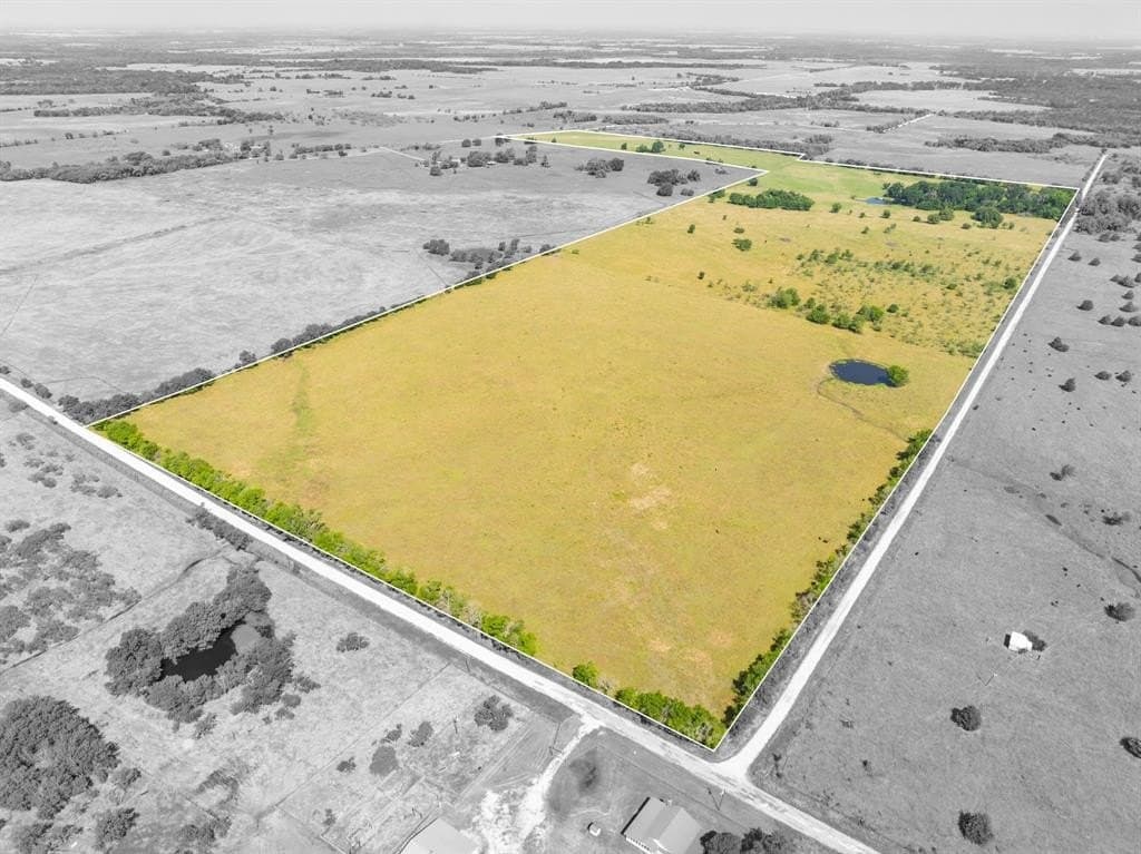 117 acres in Limestone County featured view