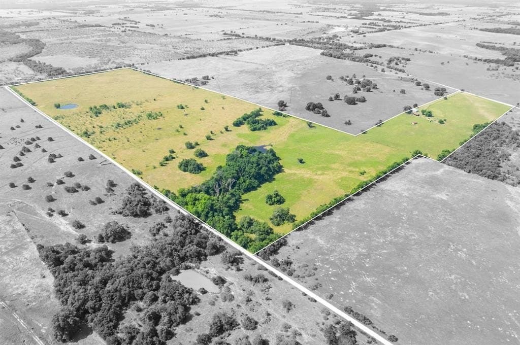 117 acres in Limestone County gallery image 4