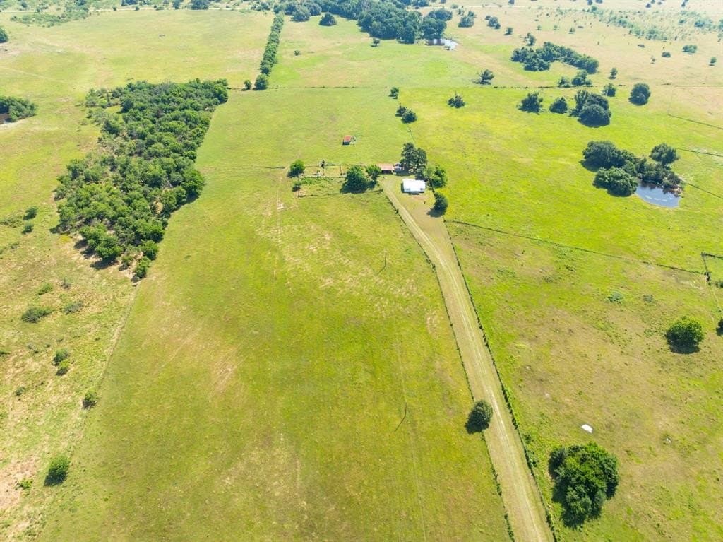 117 acres in Limestone County gallery image 2