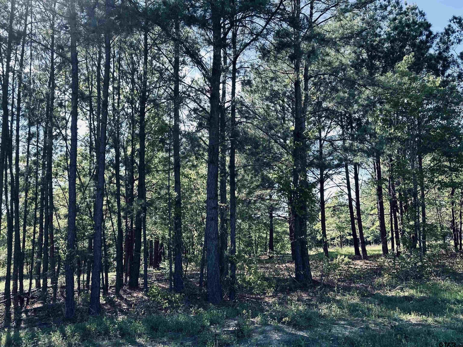13.75 acres in Cherokee County - photo 2