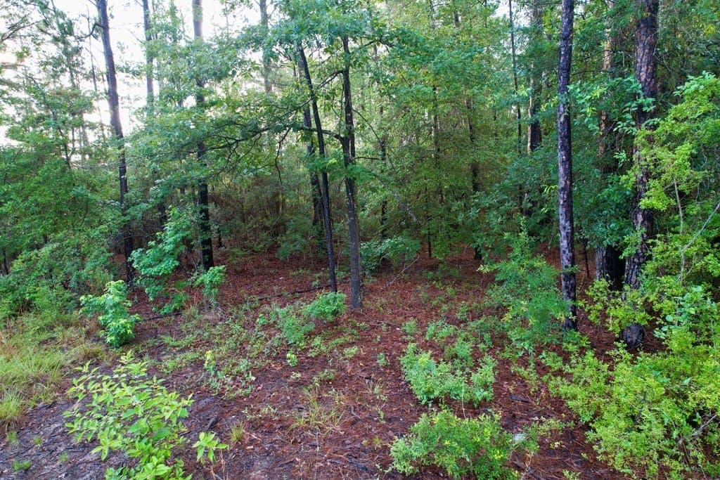 0.32 acres in Texas County gallery image 4