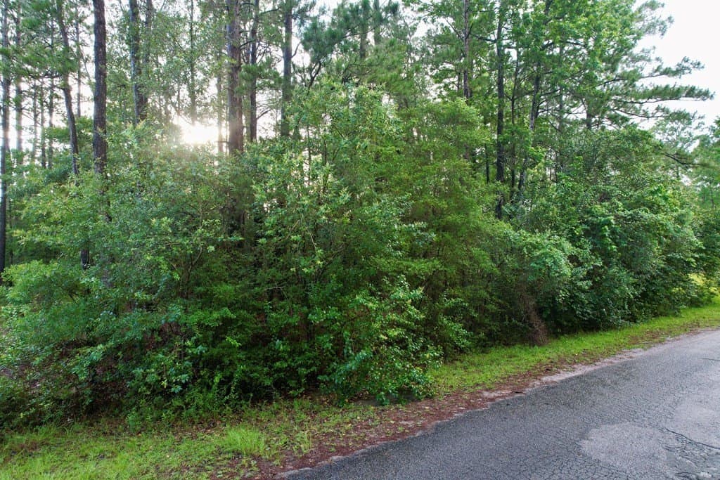 0.32 acres in Texas County gallery image 2
