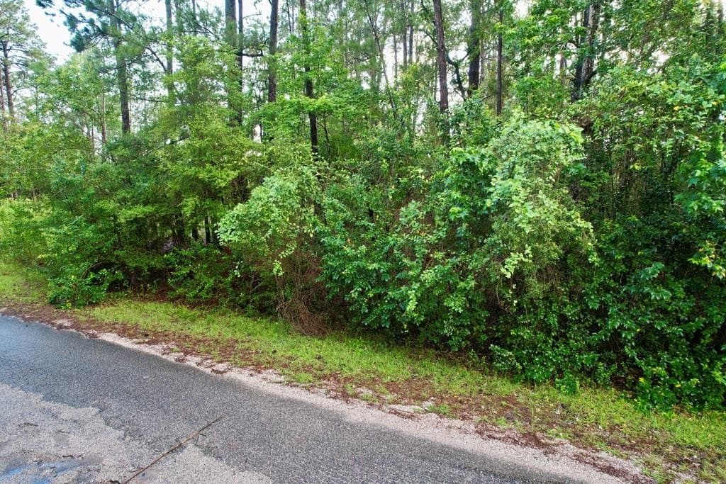 0.32 acres in Texas County