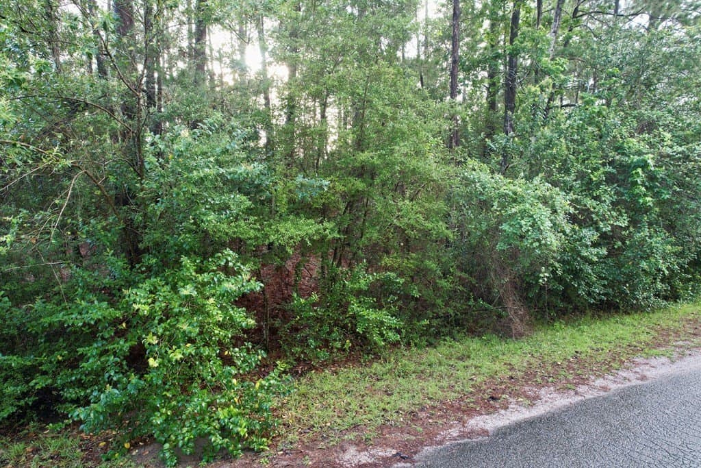 0.32 acres in Texas County gallery image 3
