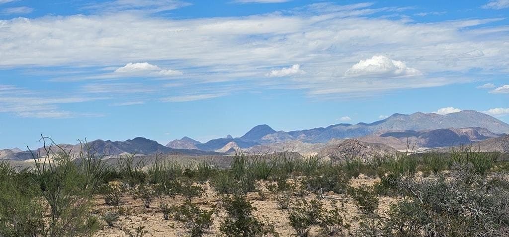 35 acres in Brewster County gallery image 4